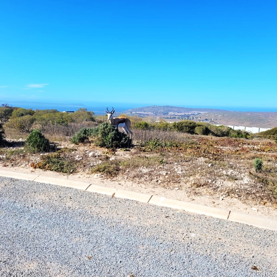 0 Bedroom Property for Sale in Hoogland Western Cape
